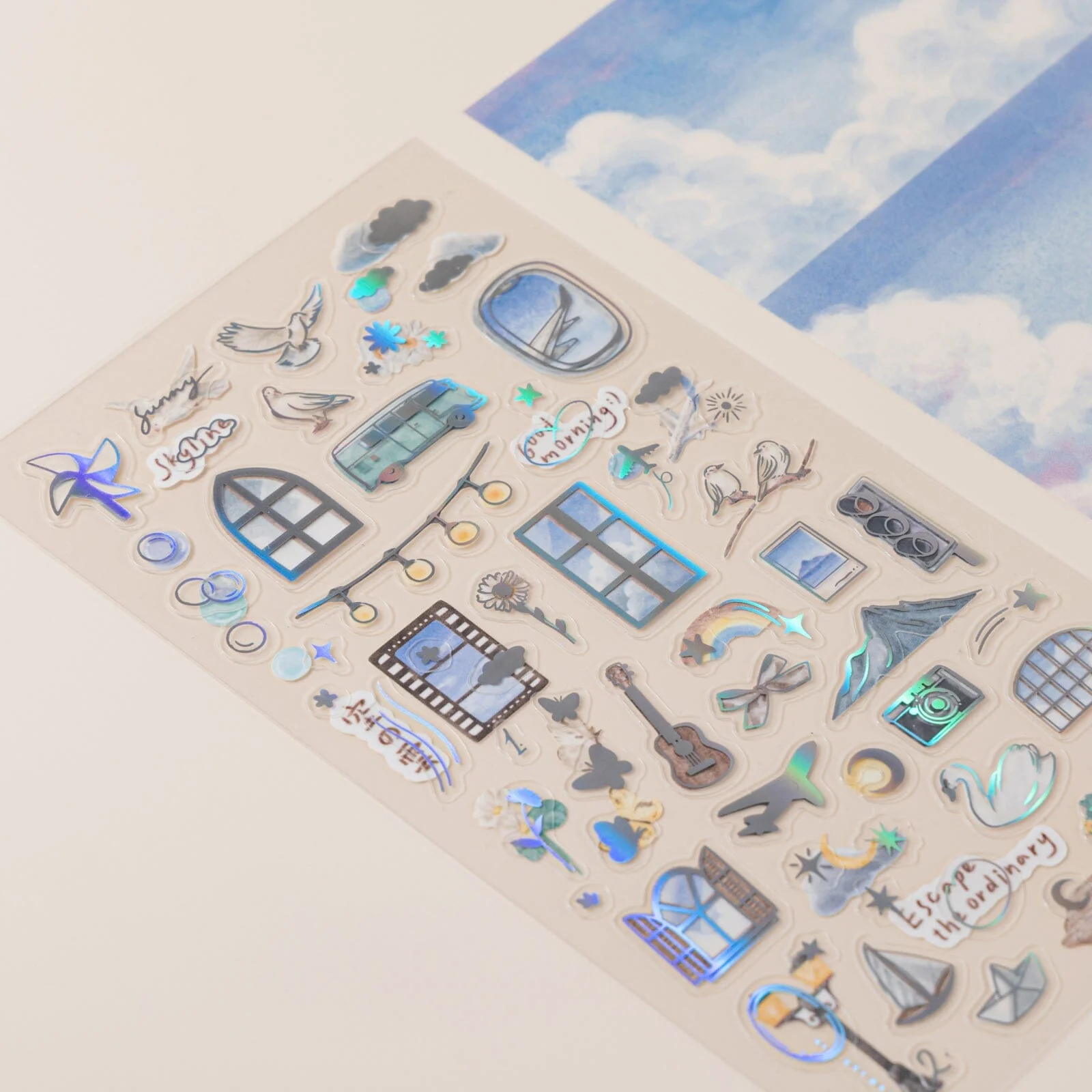 Thumbnail 12