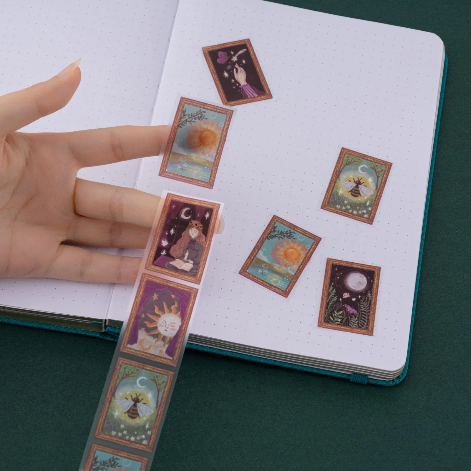 Thumbnail 13